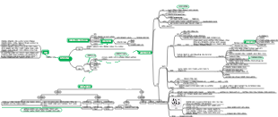 원핵생물 마인드맵