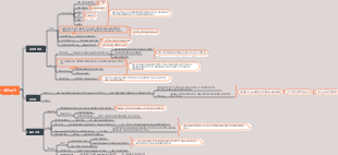 조직학 및 발생학 상피 조직