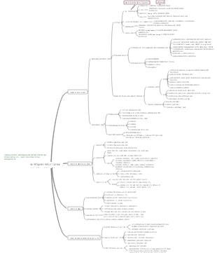 간호 제1장 간호의 발달과 기본개념