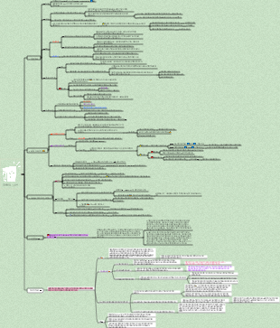 커뮤니케이션학 12장 '중독_나선'(1)