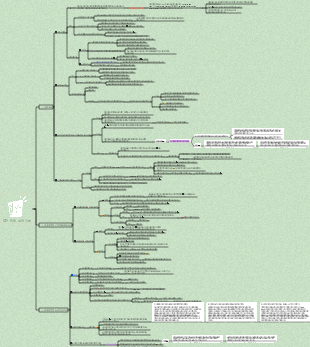 커뮤니케이션 연구 12장 의제 설정