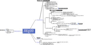 의학 제5장 혈액(말초혈액)