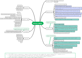 주요 Linux 배포판