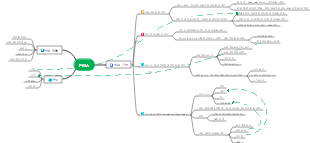 PMA 마인드맵