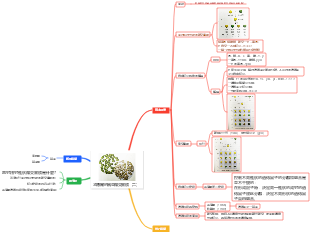 孟德爾的豌豆雜交實驗（二）