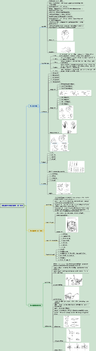 外科學060手外傷及斷肢（指）再植