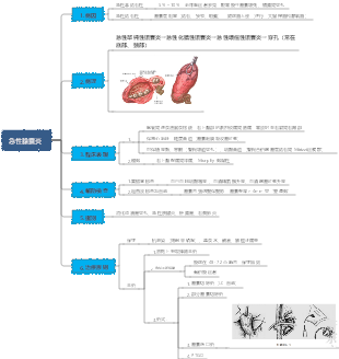 急性膽囊炎
