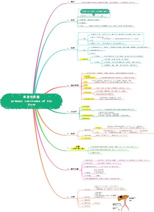 內科學消化系統-原發性肝癌