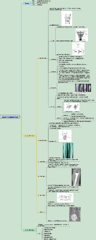 外科學058骨與關節化膿性感染