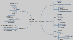 細胞適應cell adaptation to stress