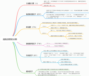 細胞激素的分類
