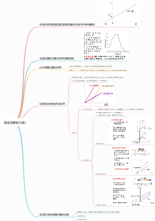 酶促反應動力學2
