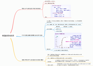 核酸的理化性質