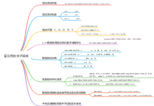 蛋白質的分子組成