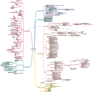 Competitive Product Analysis Outline