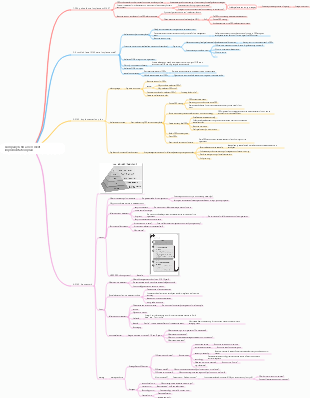 Company OKR assessment implementation plan