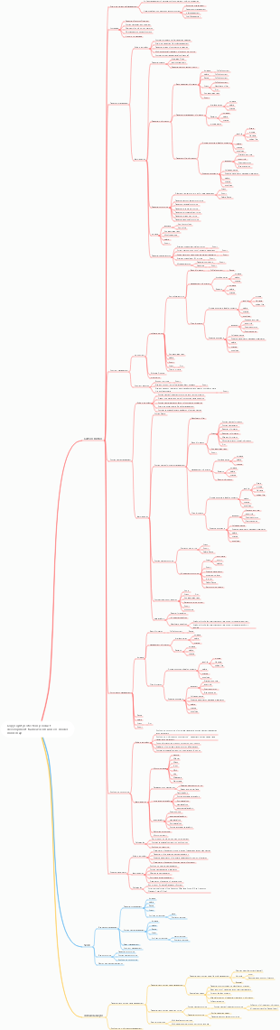 Copyright protection product development framework business model mind map