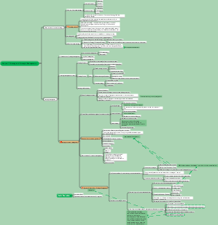 2022 CPA Strategy Chapter 1 Strategy and Strategic Management