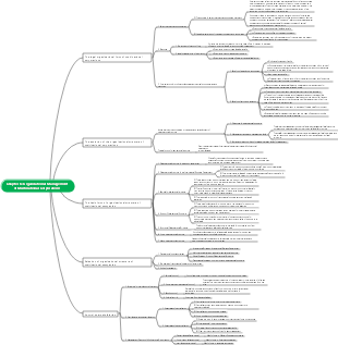 Organizational management mind map of multinational companies