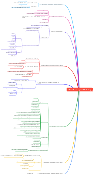 information management technology