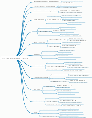 Contents of internal value chain analysis