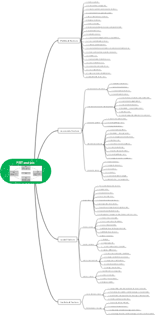 PEST analysis