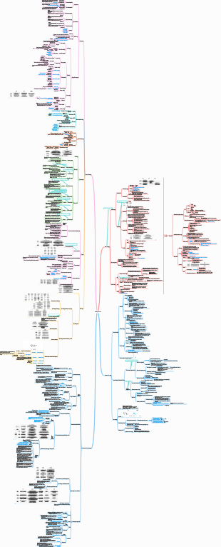 CPA-Chapter 3-Strategic Choice-2022 Produced by Damon