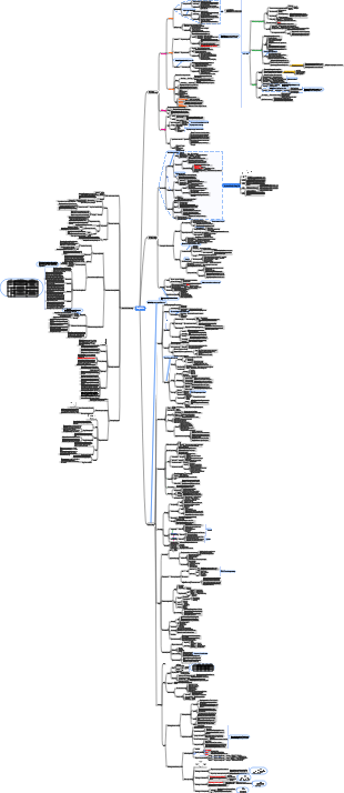 Strategic Choices for the 2022 Notes on Corporate Strategy and Risk Management