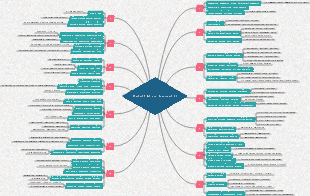 IELTS Scripture Chapter15 National Government(2)
