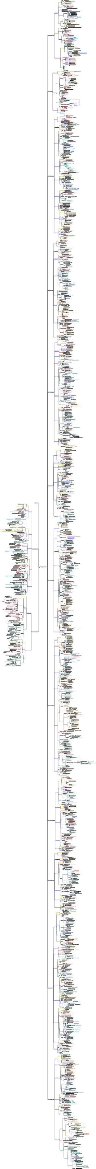 PMP mind map