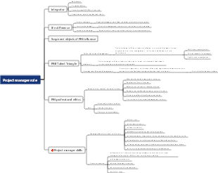 PMP Project Management - Project Manager Role