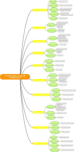 PMP Top Ten Process Group Map