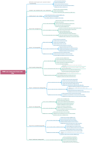 PMP exam management team mind map