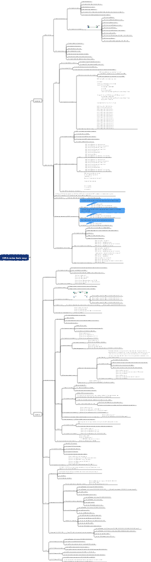 CCNA review brain map