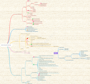 Carte mentale de l’obésité et de la perte de poids