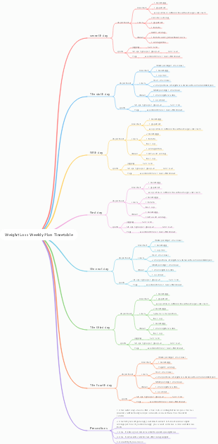 Weight Loss Weekly Plan Timetable
