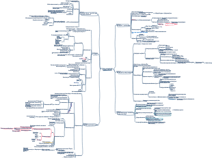 My Last Weight Loss Book