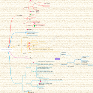 Obesity and weight loss mind map