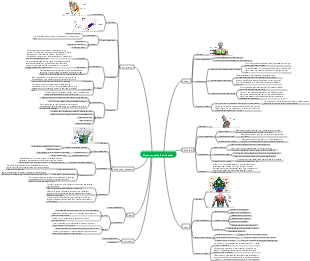 Fitness muscle distribution