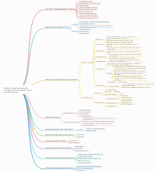Enterprise salary management consulting and distribution system structure planning