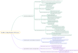 Excellent college life plan in 800 words