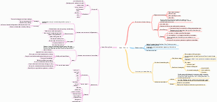 College student career planning