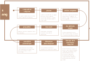 Carte mentale physiologie-sang