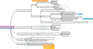 Human genetic diseases High school biology