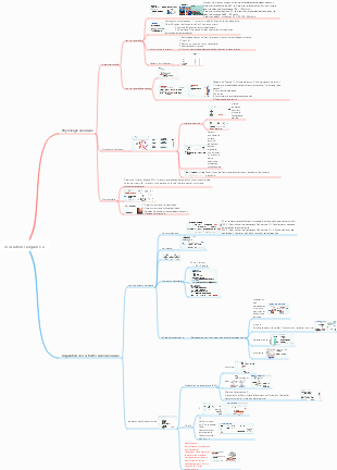 Carte mentale de la circulation sanguine de la physiologie