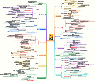 The Selfish Gene Reading Notes