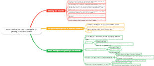 Moral formation and cultivation of primary school students