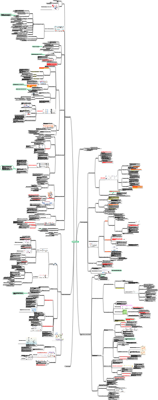 la circulation sanguine