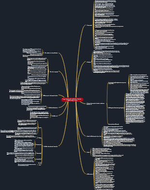 Key points of each professional content in BIM drawing review