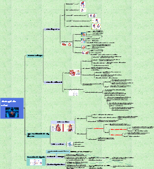 La composition et la fonction du système circulatoire (circulation sanguine)
